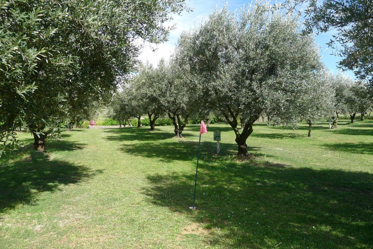 Holiday home Les Piegonnaises - Deux Luxueuses Roulottes Et La En Drome Provencale Piegon