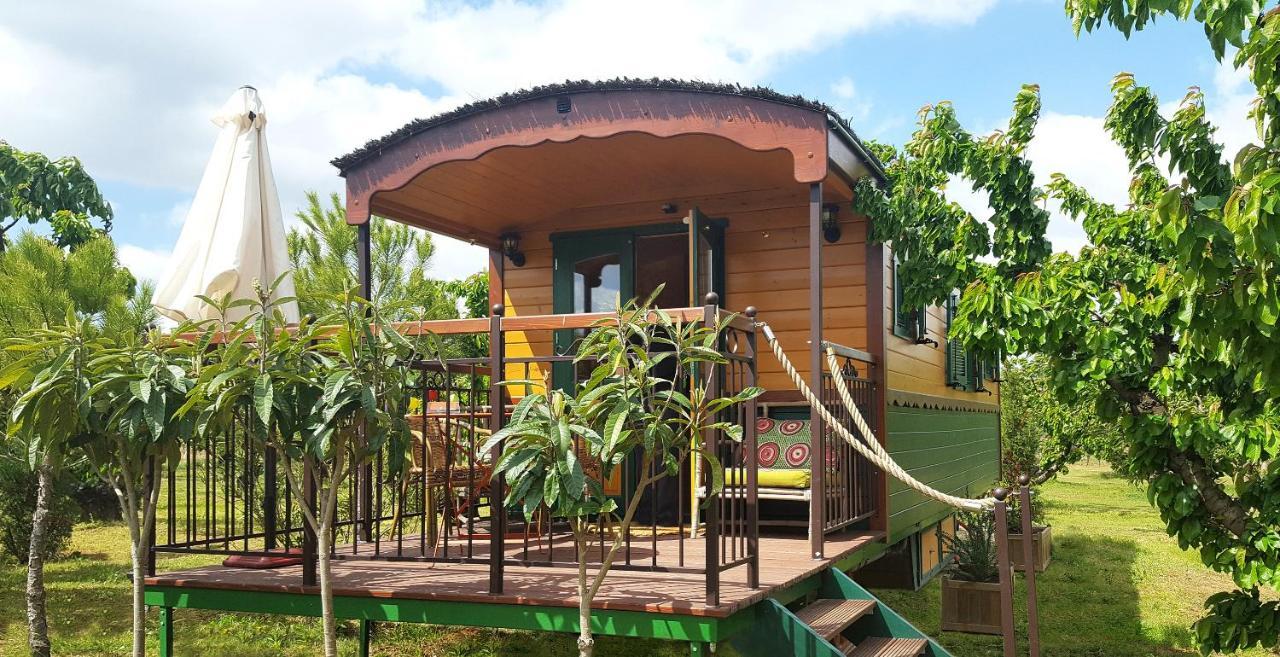 Holiday home Les Piegonnaises - Deux Luxueuses Roulottes Et La En Drome Provencale *