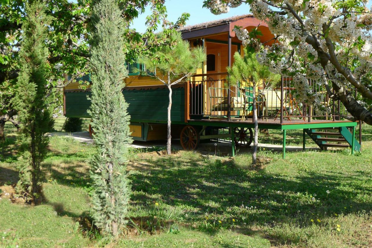Les Piegonnaises - Deux Luxueuses Roulottes Et La En Drome Provencale * Piegon